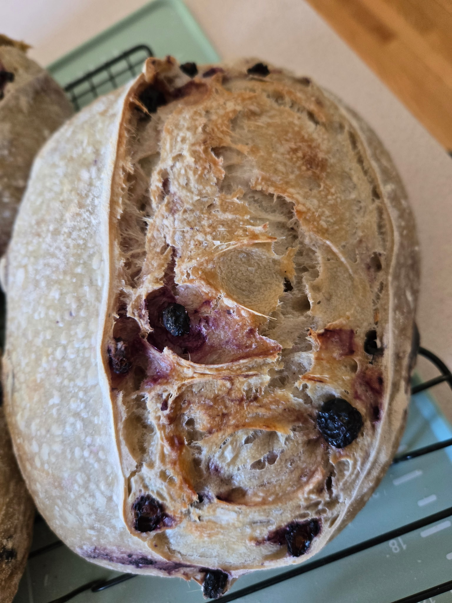 Blueberry sourdough loaf with a rustic crust.