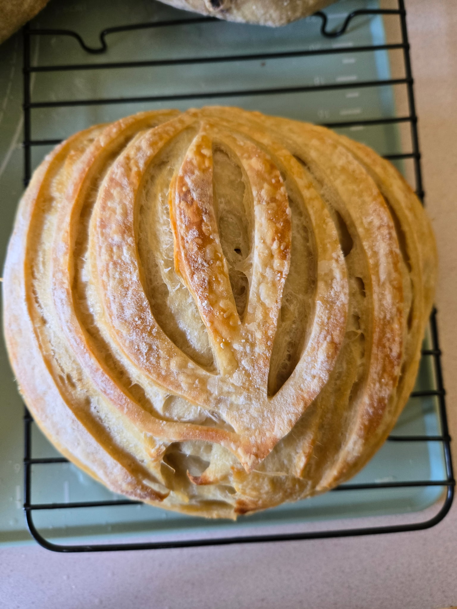 Plain sourdough loaf with decorative scoring.